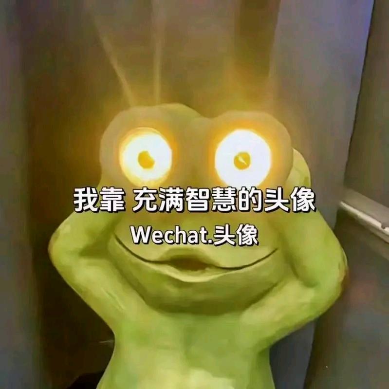 橘子熊