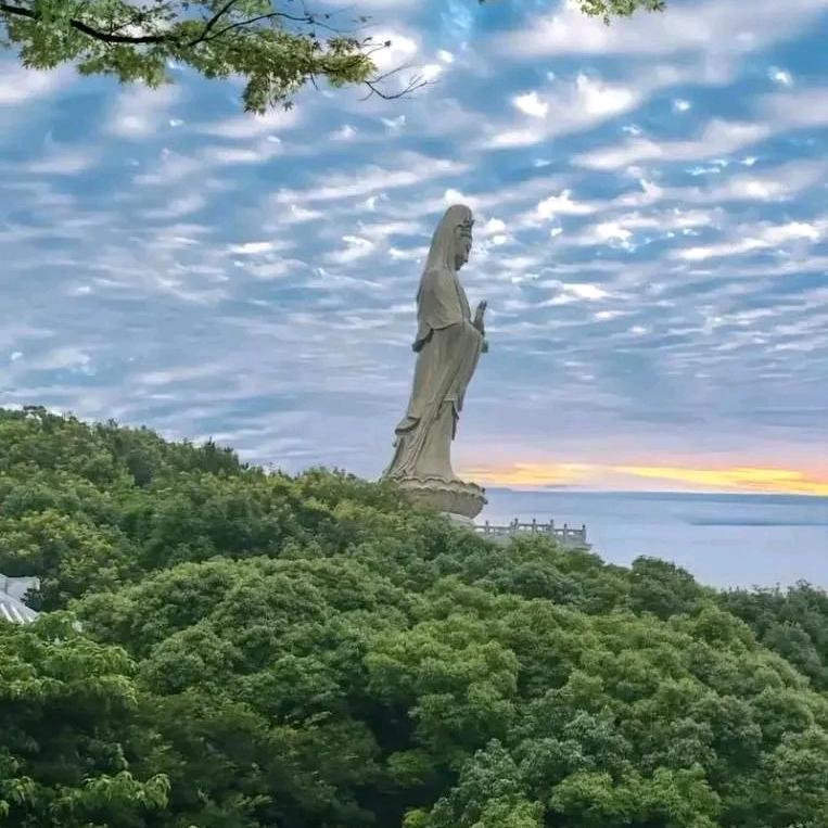 👑💎大自在🌈🦁