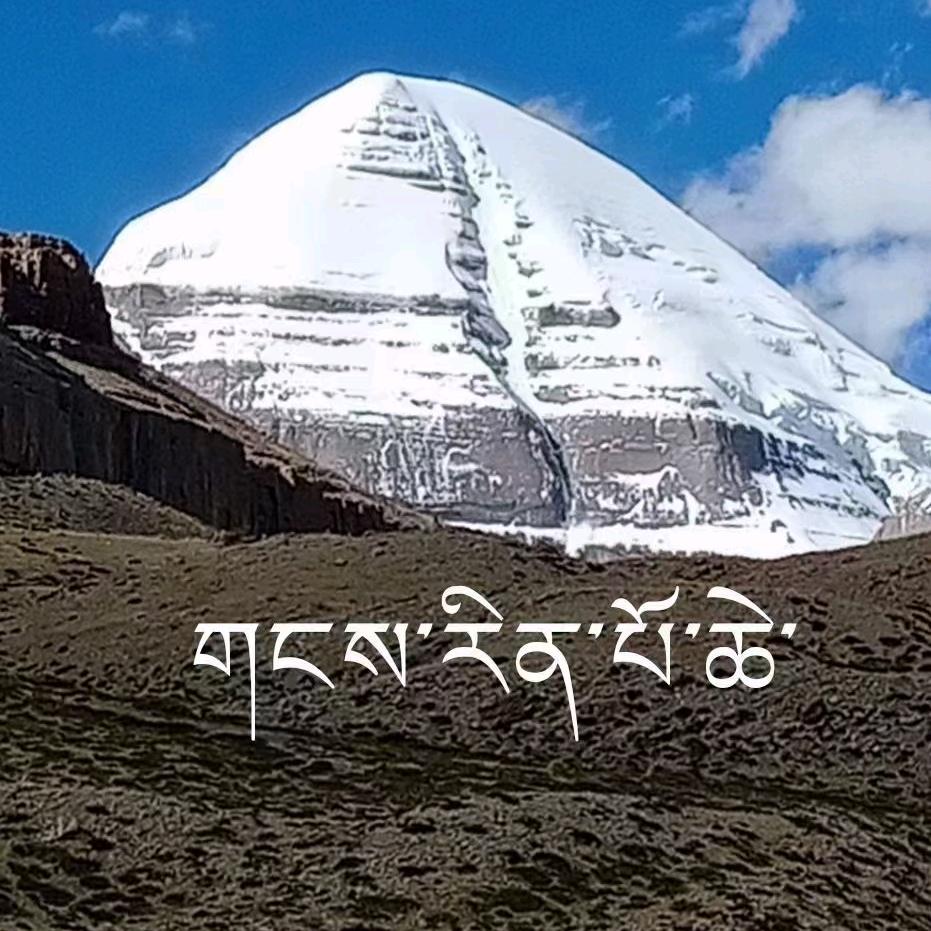 之旅司机，顿珠