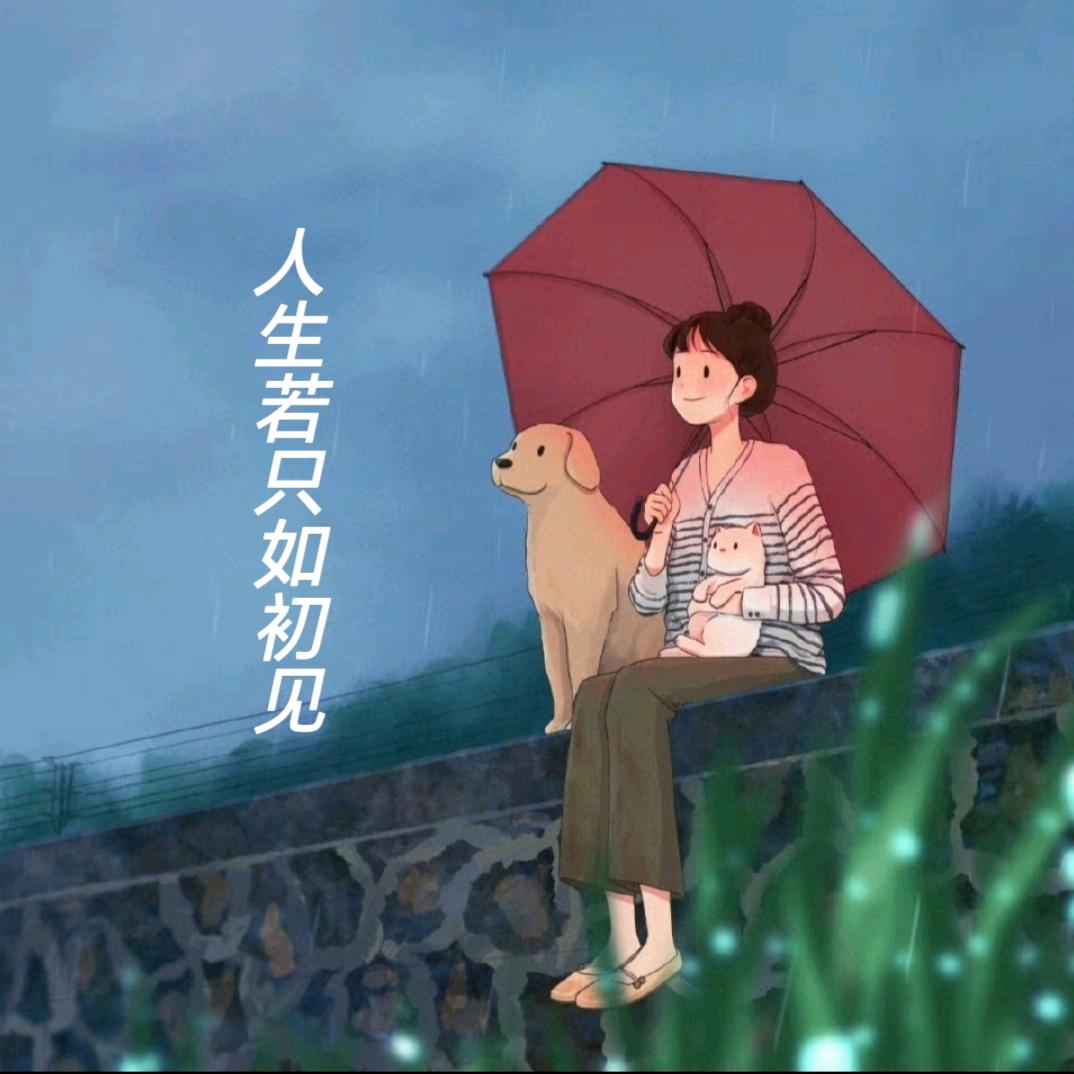 会爆炸的包子