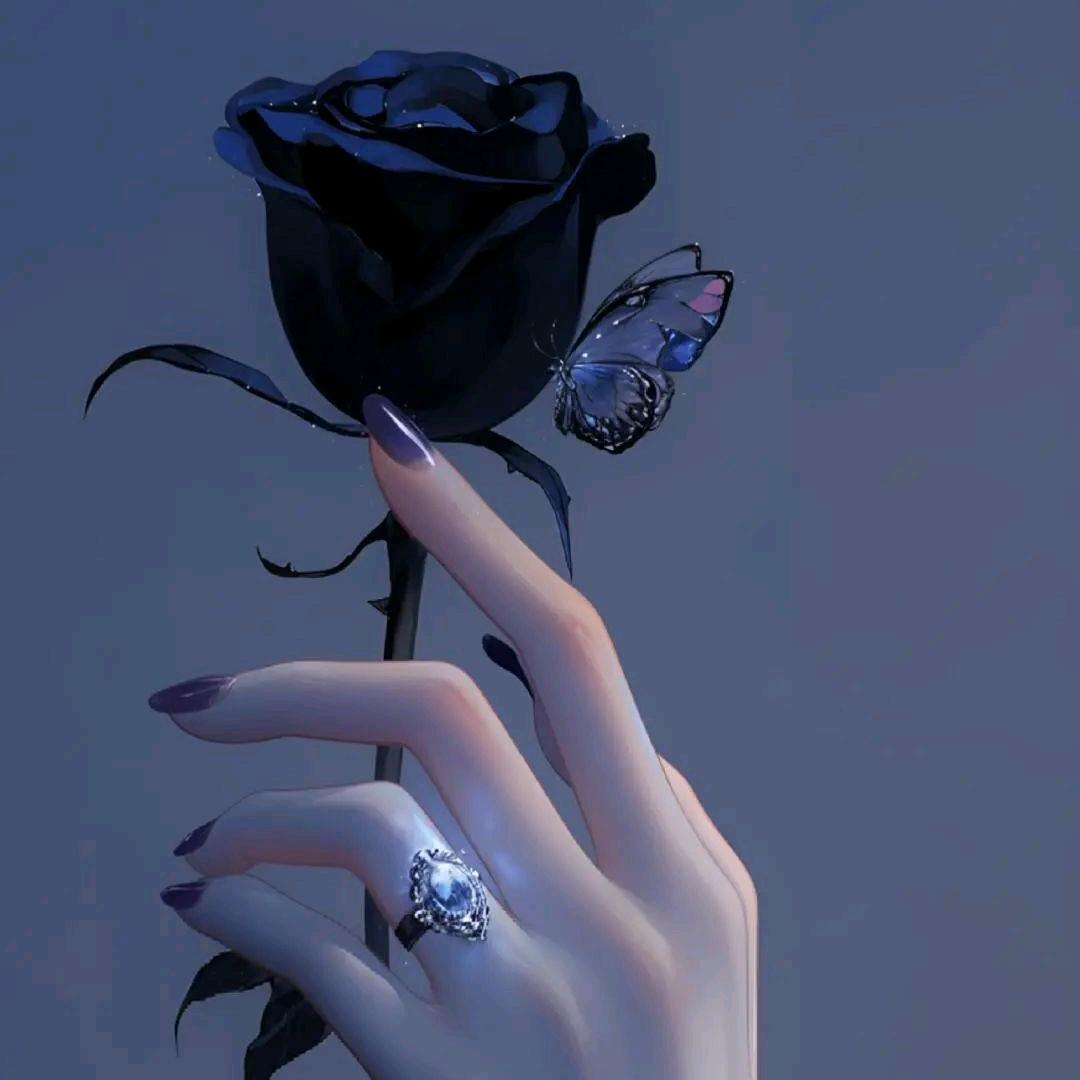 🧿开心果💘