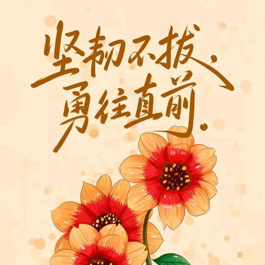 ╭(╯冷月寒秋╰)╮