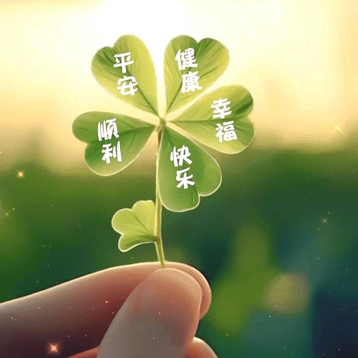 喜知