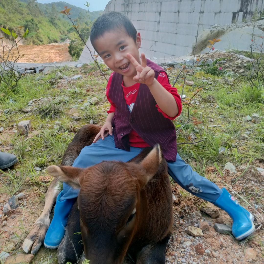 🐉🐉林哥牛🐂羊🐏养殖🐉🐉