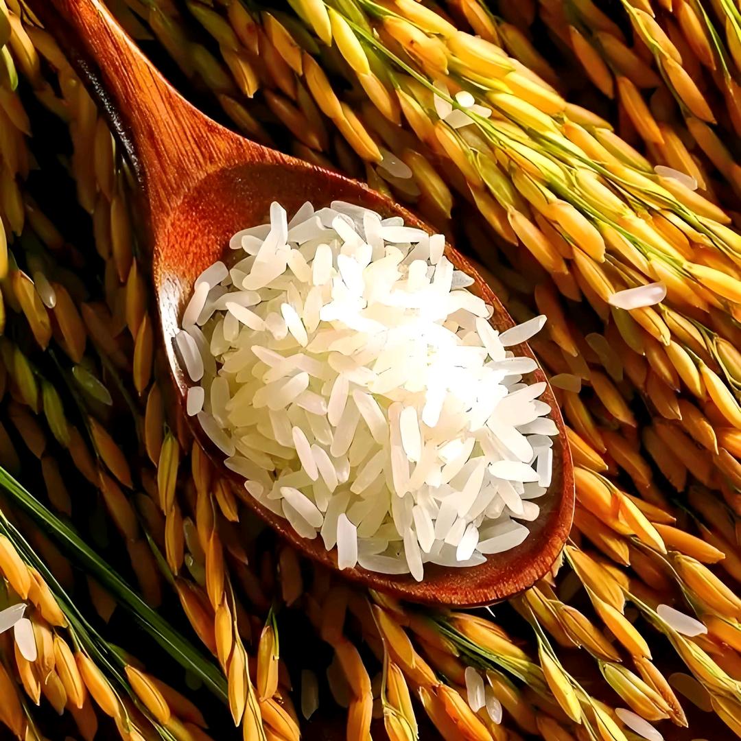 小米粒
