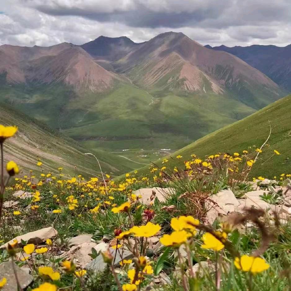 手机用户85871863539