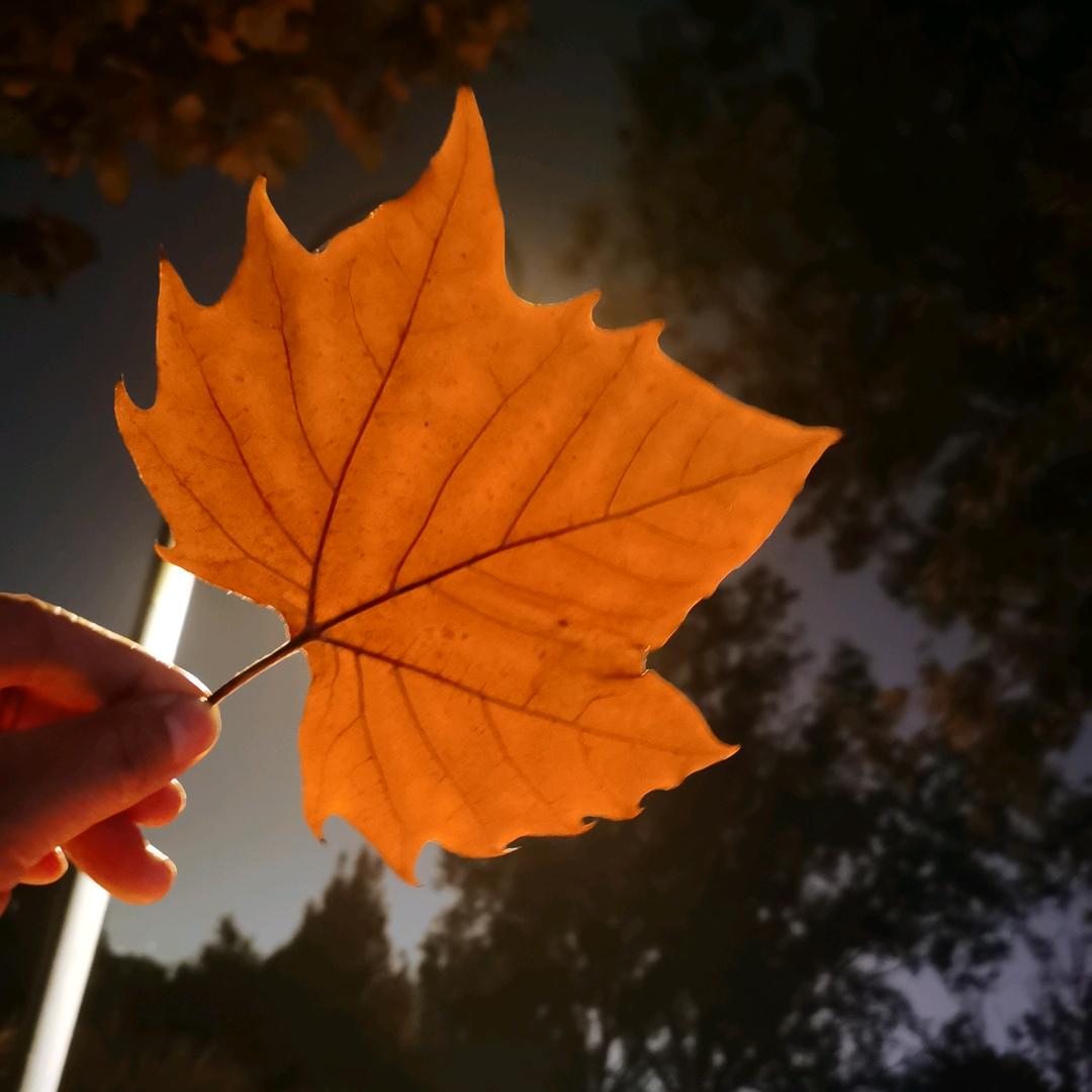 🐮小团子🌈🌈🌈