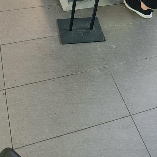 飞车越越是猪头