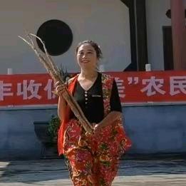 种山药的小黑妞