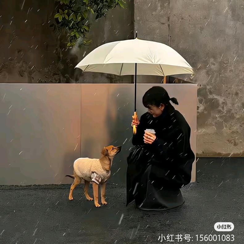森活鱼块