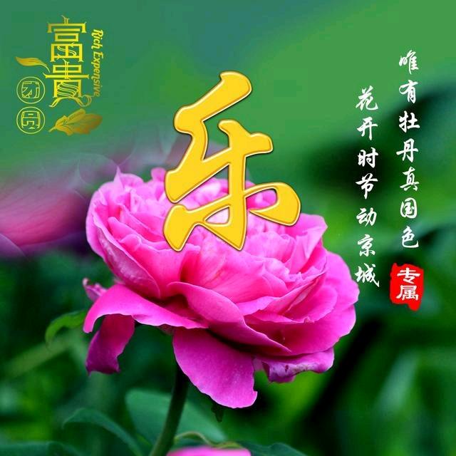 天蝎