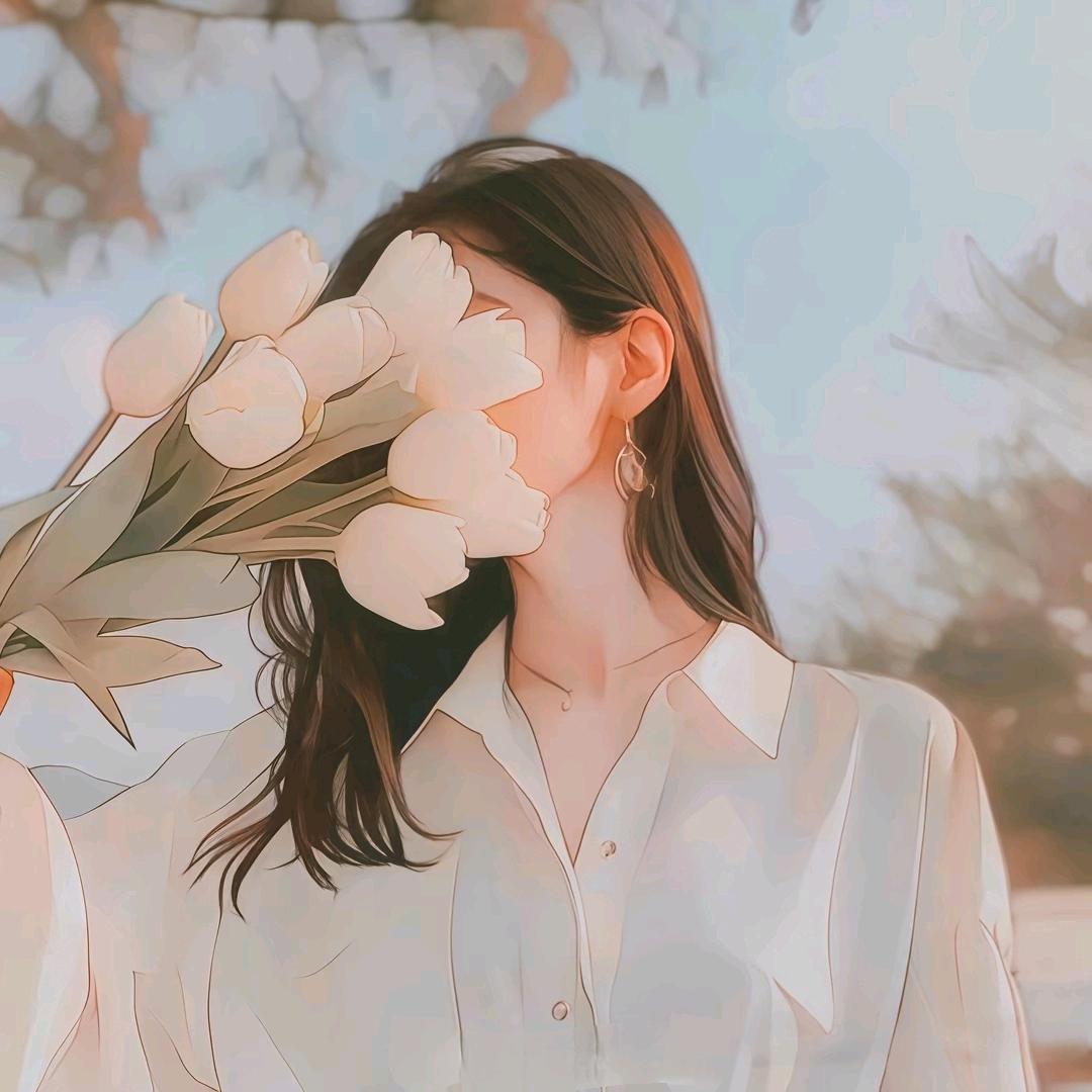 丹丹精选