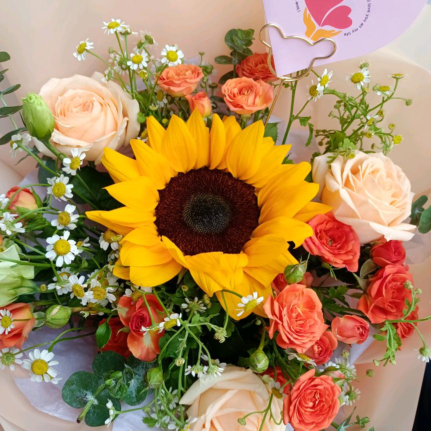 🍀橘子🌻
