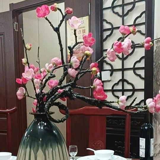 我形我塑.