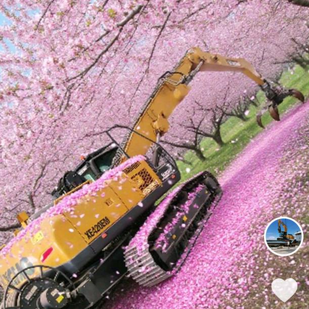 站在废铁上的男人