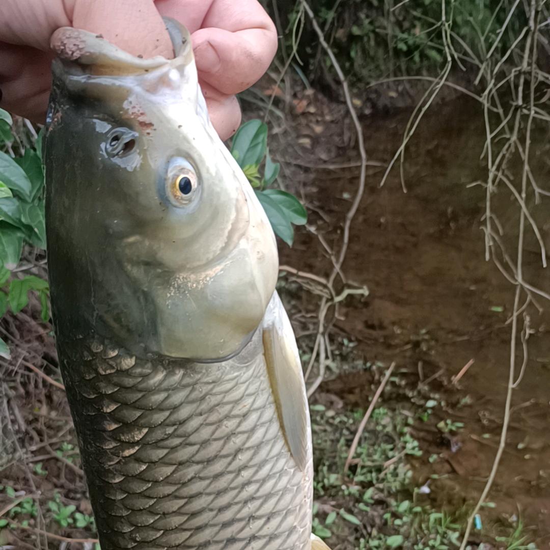 🥀ঞ李₅₂₀哥💞࿐