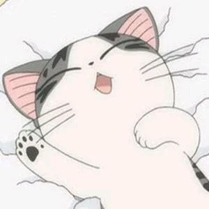 猫哥电竞