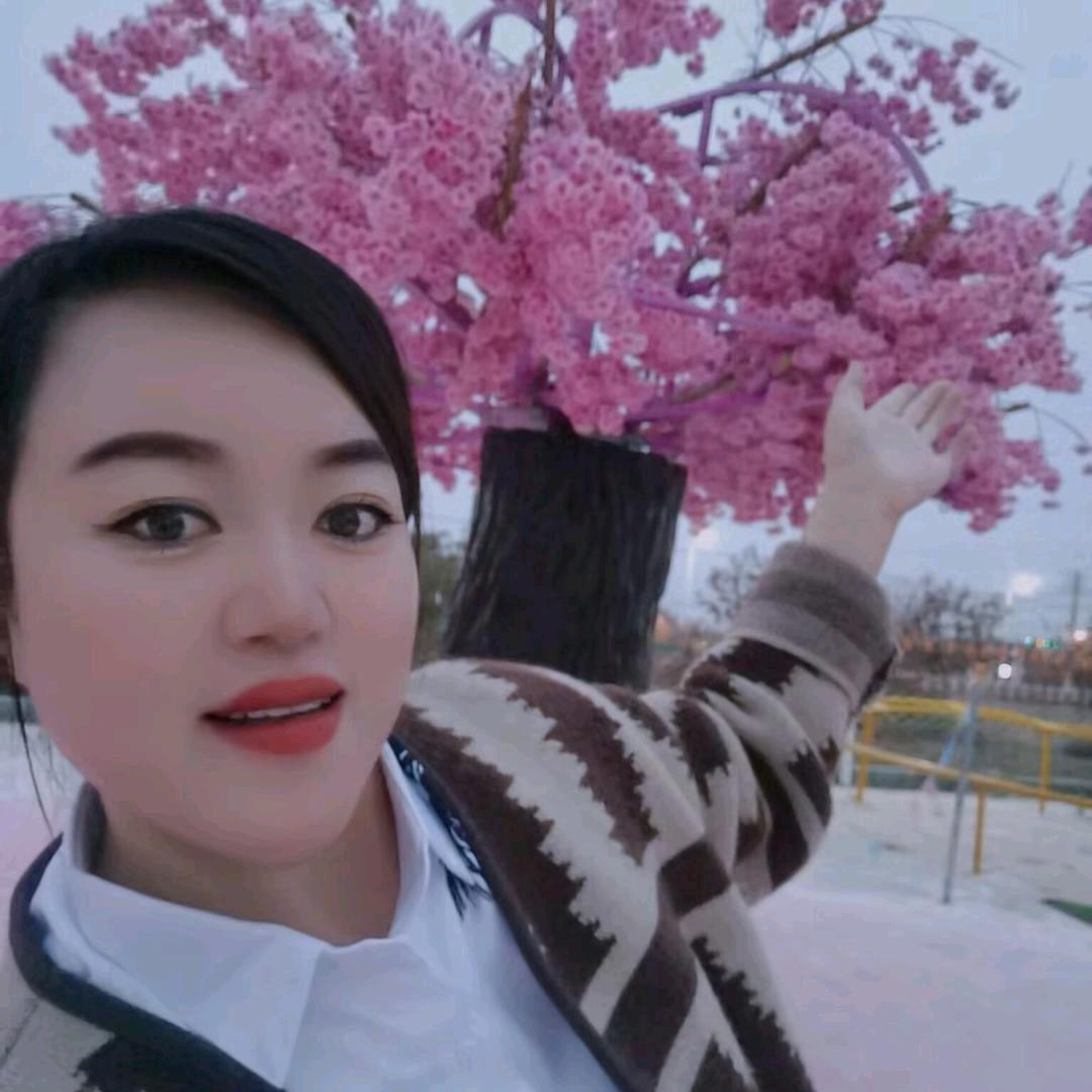 饭姐直播声卡🎤