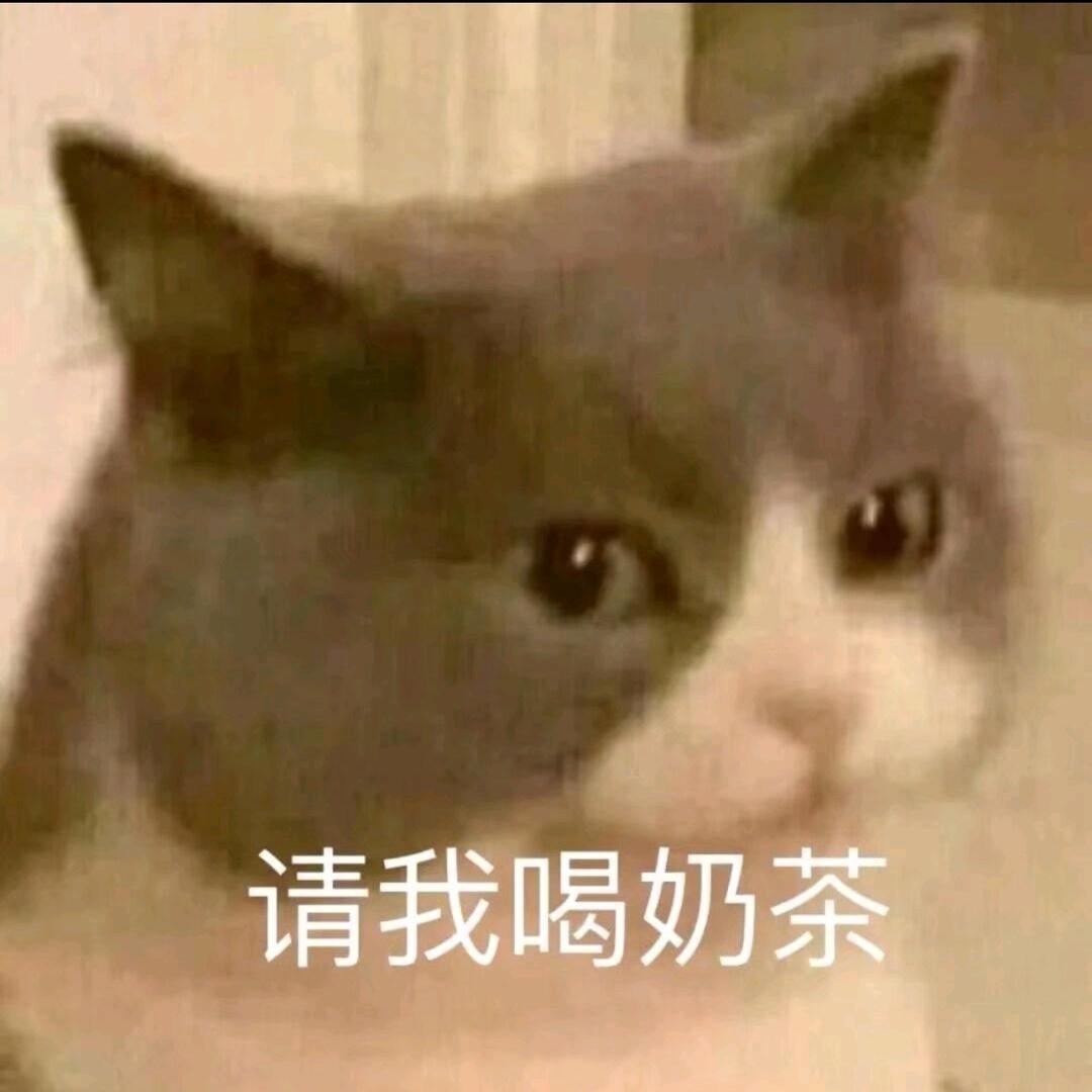 想和185帅气多金温柔的男大打羽毛球