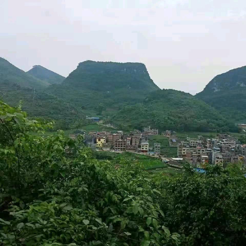 兜李有唐
