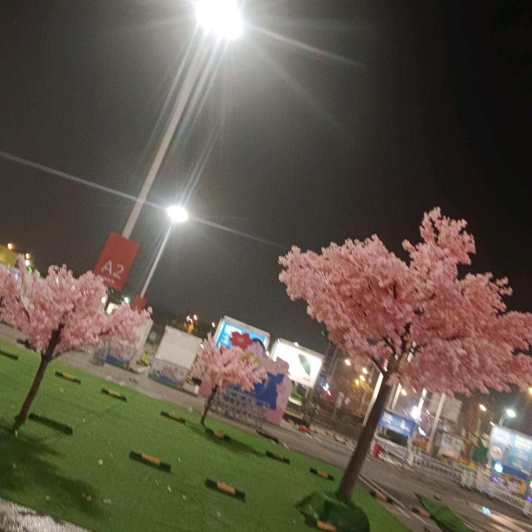 五月