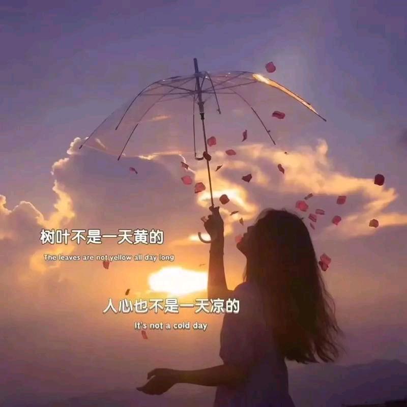 余生不打້໌ᮩ扰ꦿ᭄࿐拒绝私聊