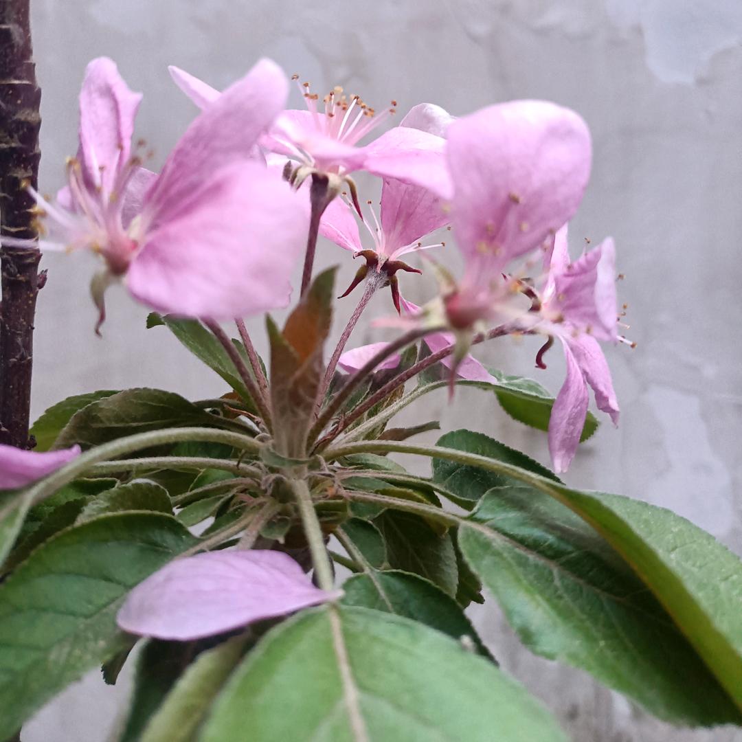 顺风顺水顺财神！