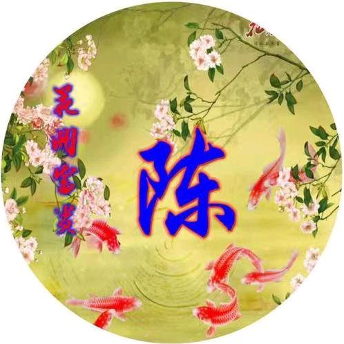陈远珍