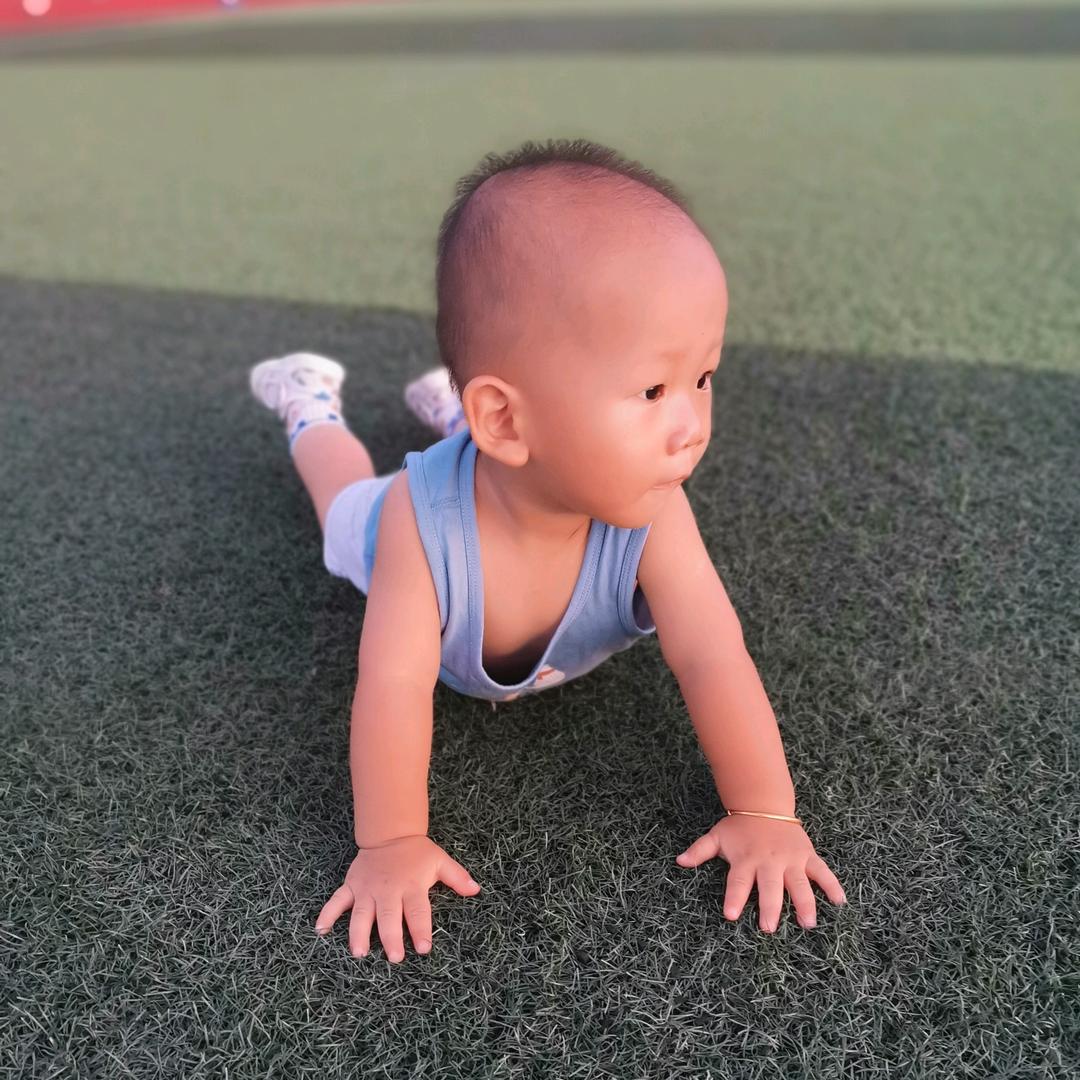 豆丁爸爸