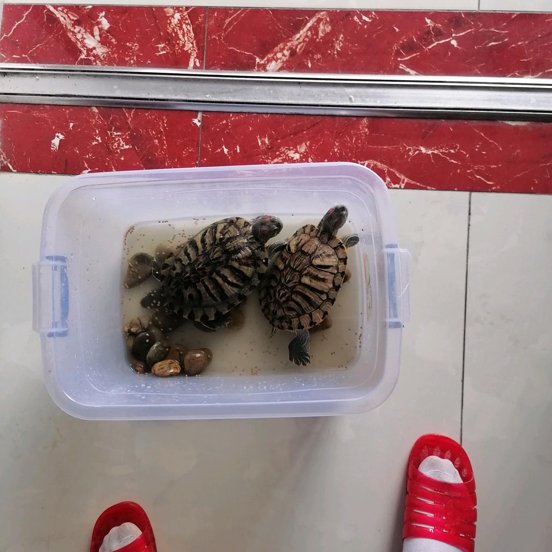 给我一支烟