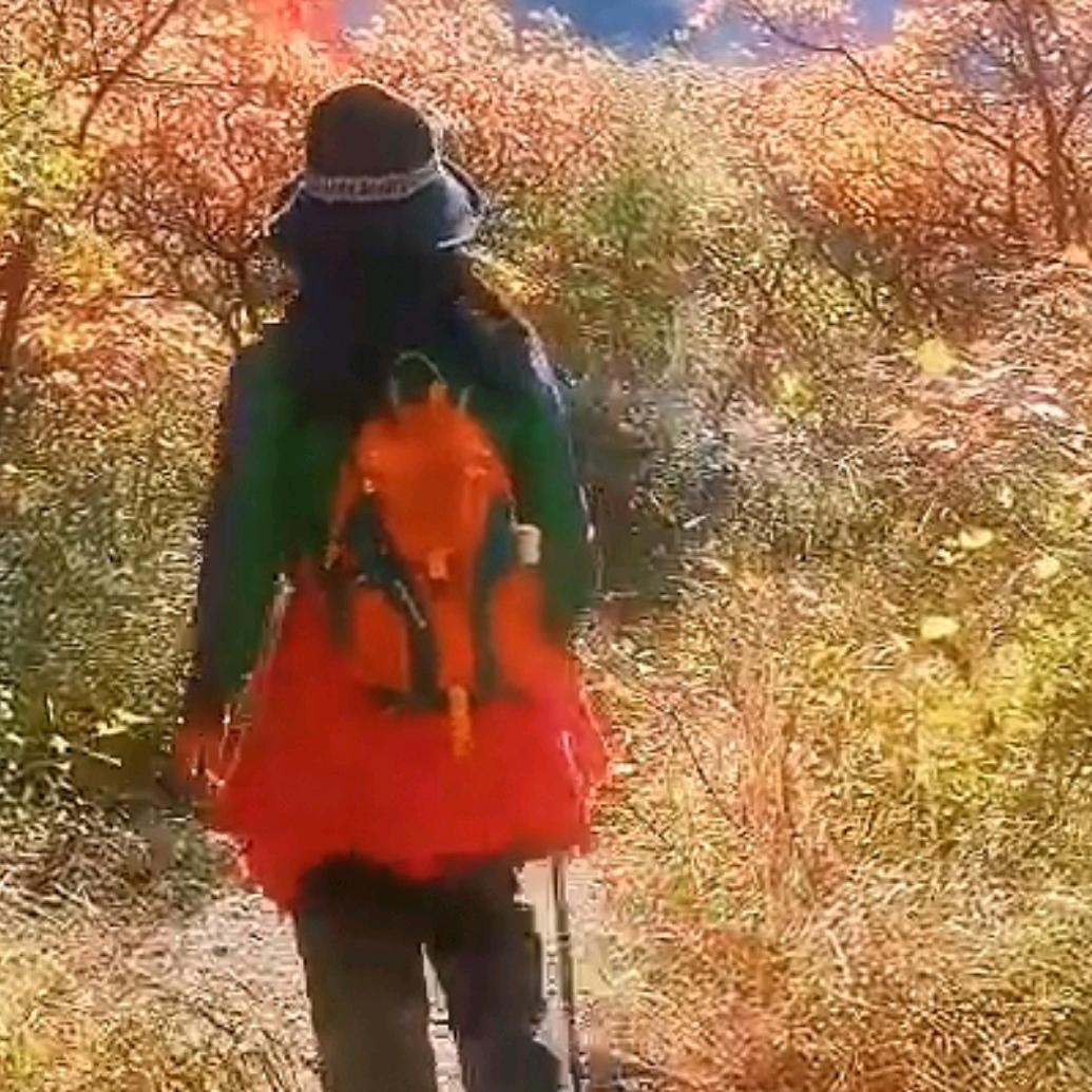 清澈的祖母大人（70年）