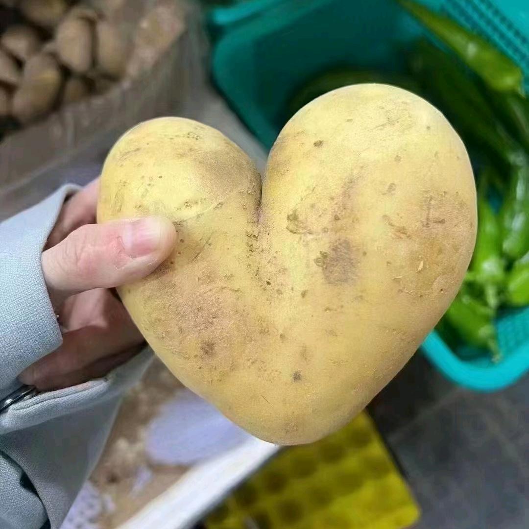 挑战健身3个月能变成什么样子