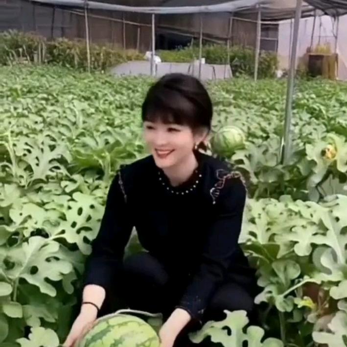玲玲果业