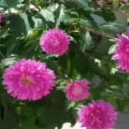 苦尽甘来😂😂