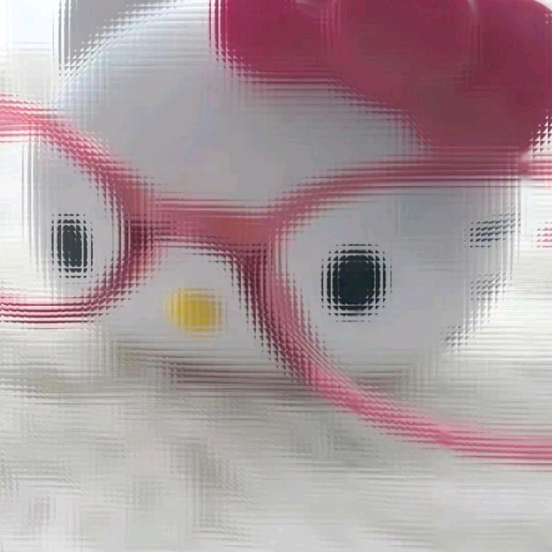 淡干海参