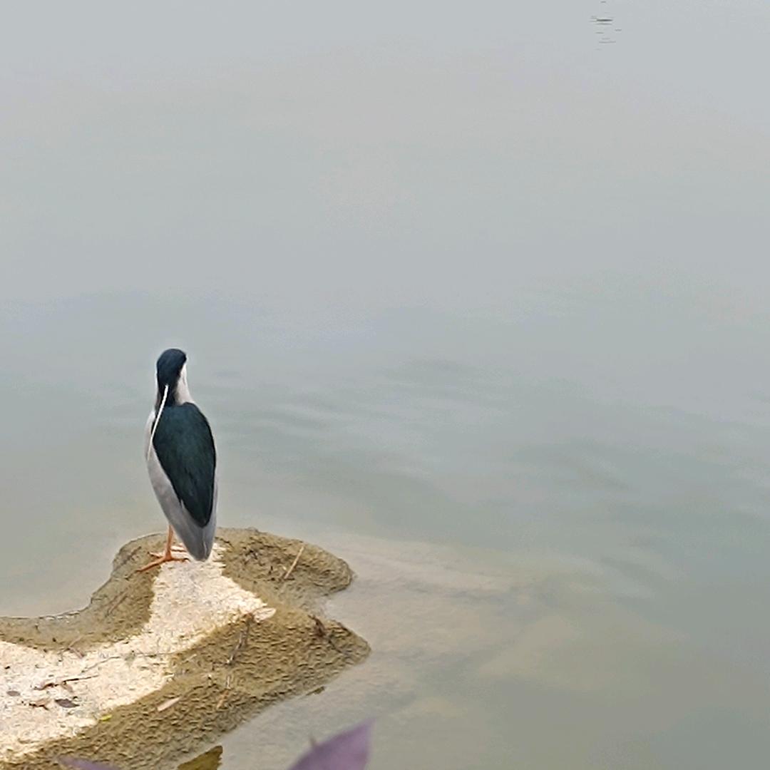 懂上开过