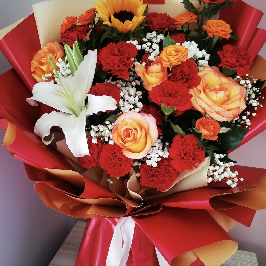 🌻🌻🌻🌻🌻🌻🌻