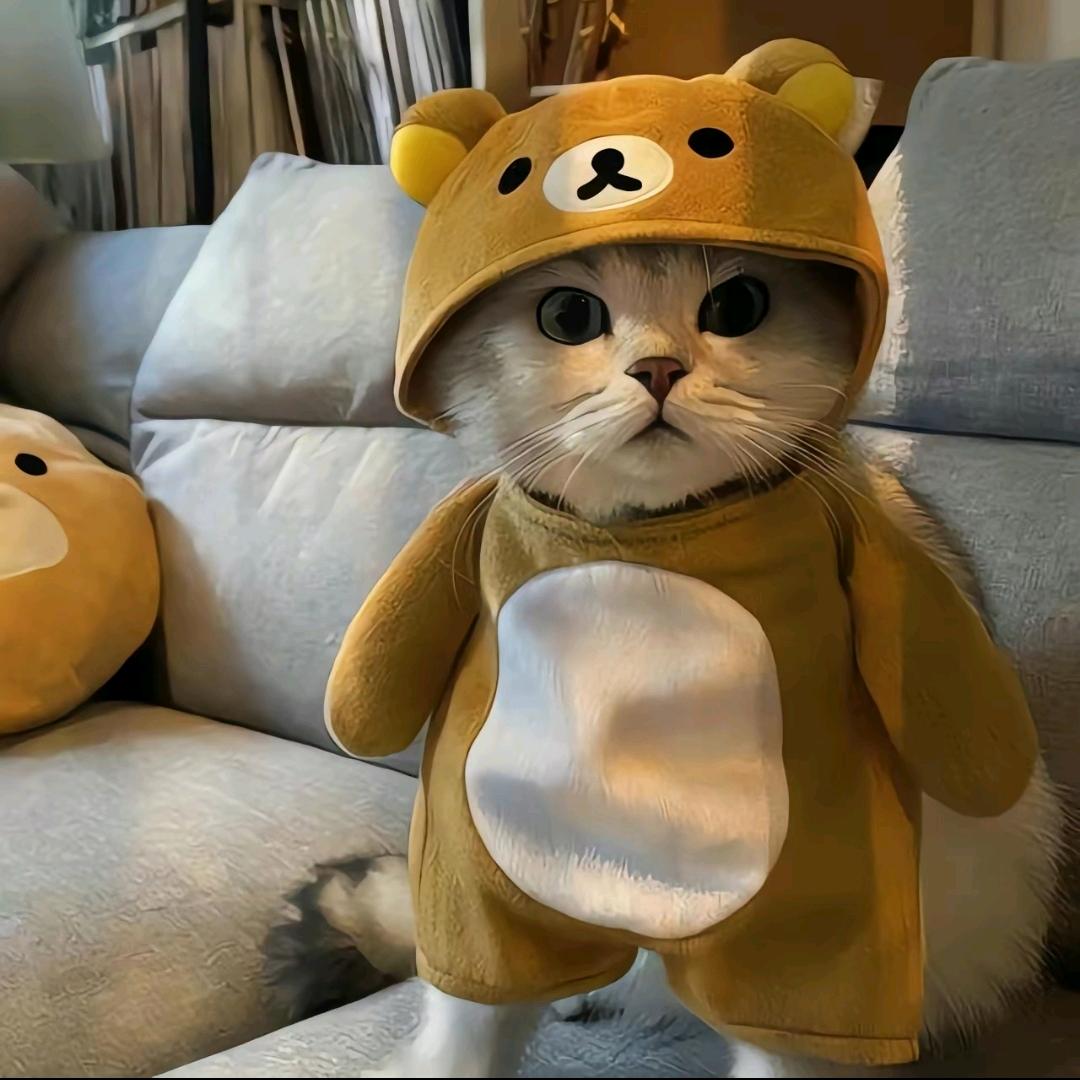 小鱼吃大鱼