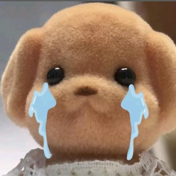 窝系森贝儿꒰ *•ɷ•* ꒱