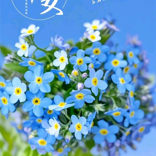 姐的世界你不懂