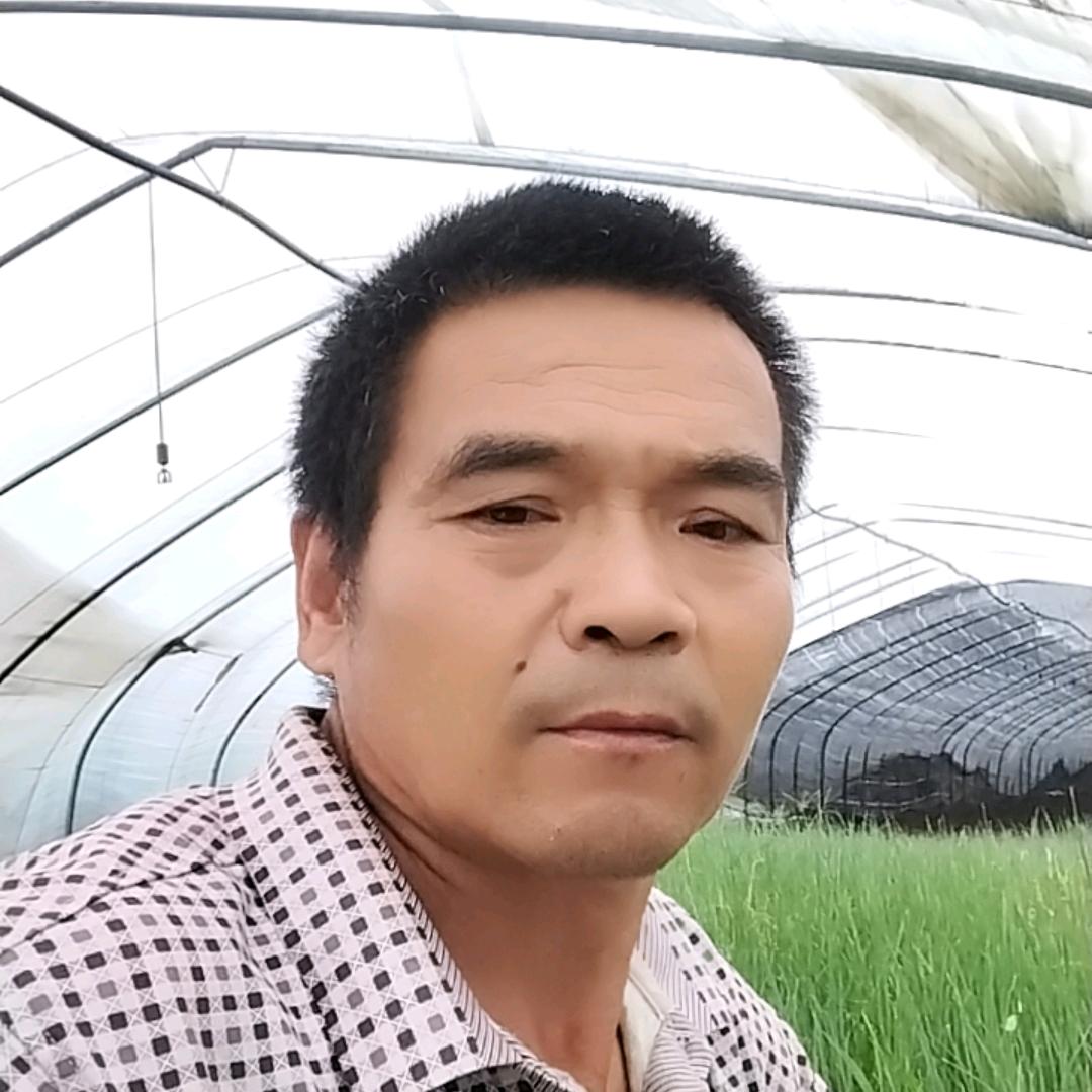 四个孙子的爷爷