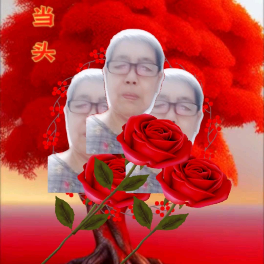 小姨一一胡孝菊一芍：菊