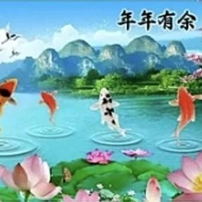 小鱼儿