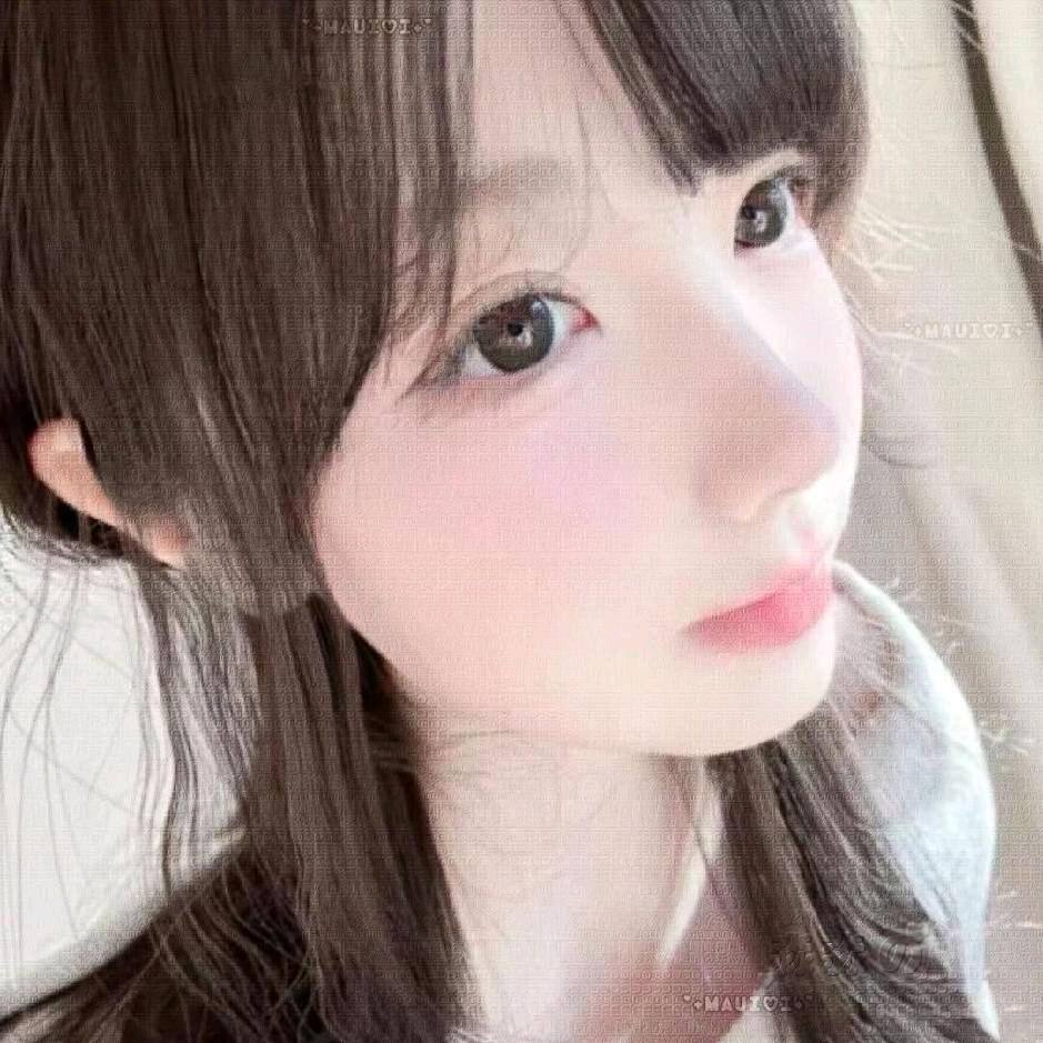 老墨辞