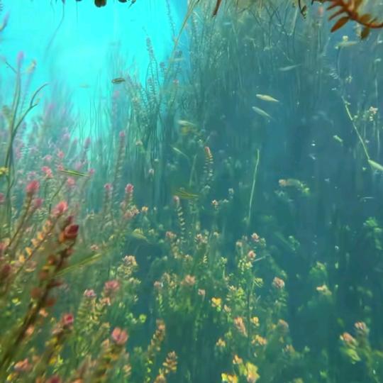 居无定所四海为家