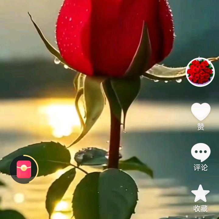 单纯？