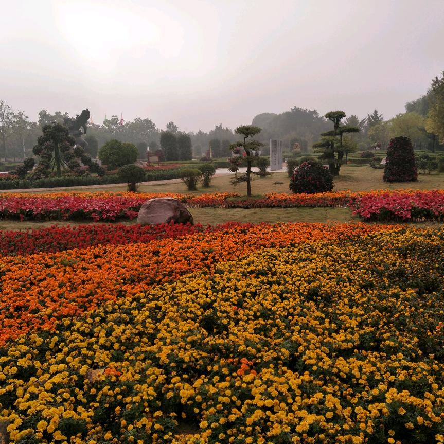 官庄家具家电购物广场