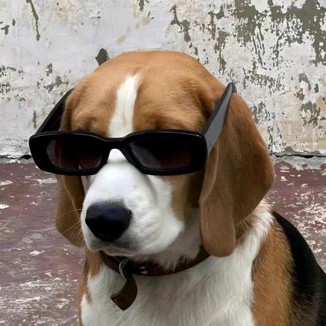 玛酪Qy.（备考ing）