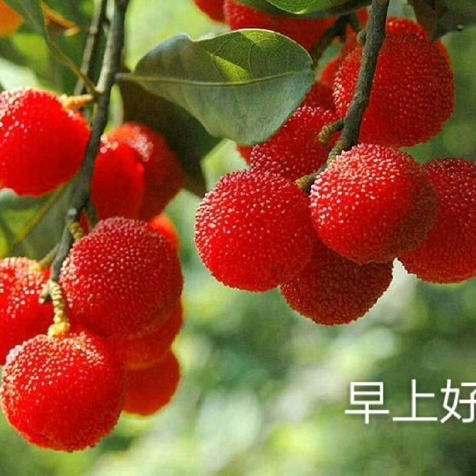 平安快乐