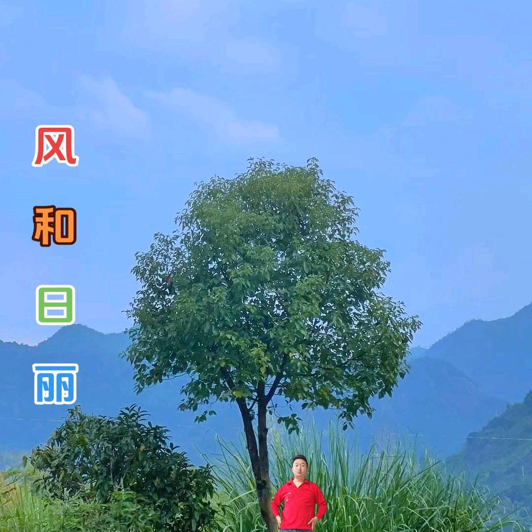 风和日丽